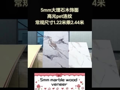 Se Varför Du Ska Välja 5mm Bambukol PVC Väggpanel Vattentät Brandsäker